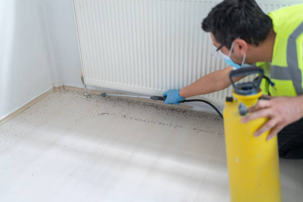 Best Exterminator Services  in Dunlap, IA